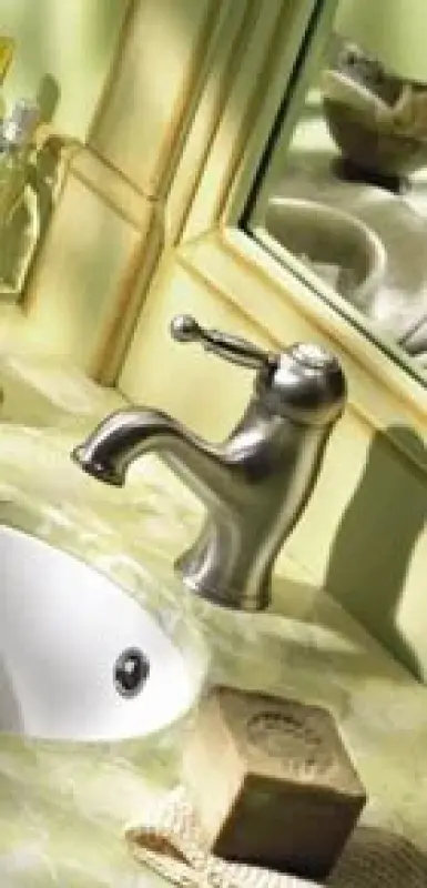 Cisal Arcana Empress Wastafelmengkraan RVS EM0005102A